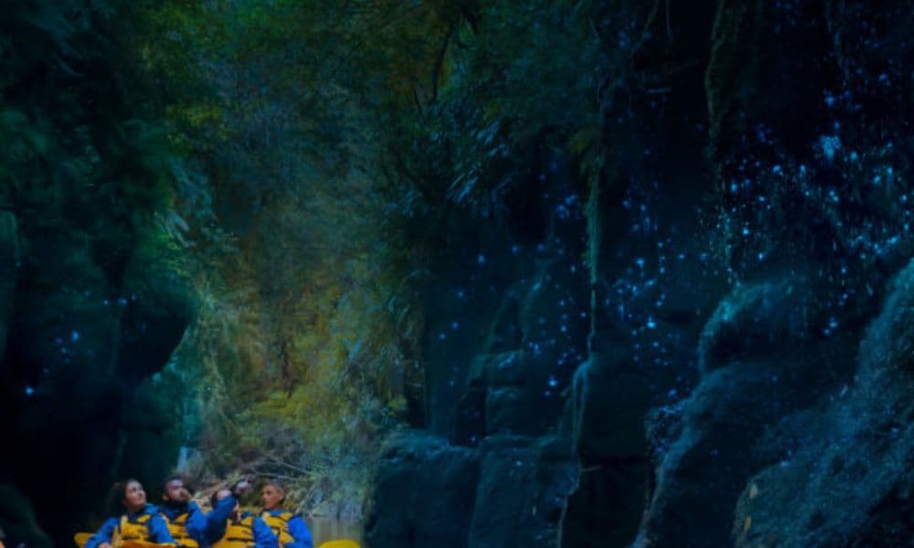 Rotorua: Big Kanu Starlight Glow Worm Tour