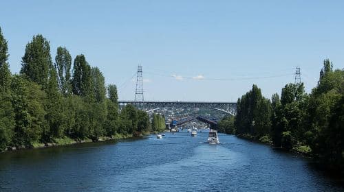 Seattle: Locks Cruise with Local Guide Day Tours