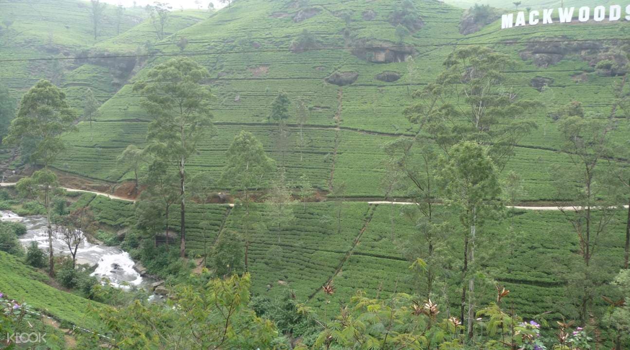 Nuwara Eliya 2 Day Tour from Colombo
