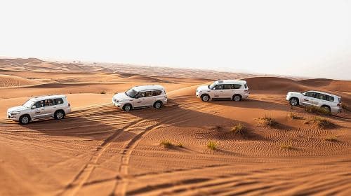 Dubai: Desert Safari, Camel Ride, Show & Optional Dinner Day Tours