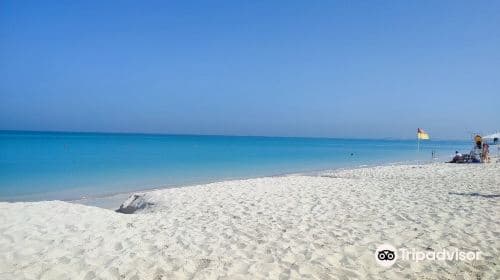 Soul Beach Saadiyat Island