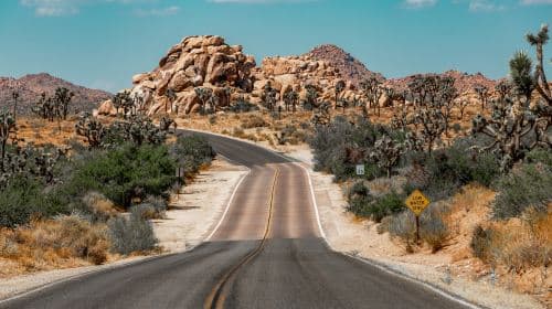 1-daagse tour naar Joshua Tree National Park + The Richard Nixon Library & Museum in Los Angeles, VS Dagtochten