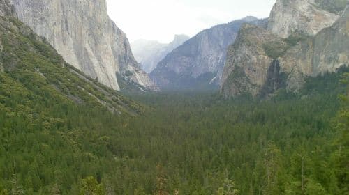 Yosemite National Park full-day tour from San Francisco
