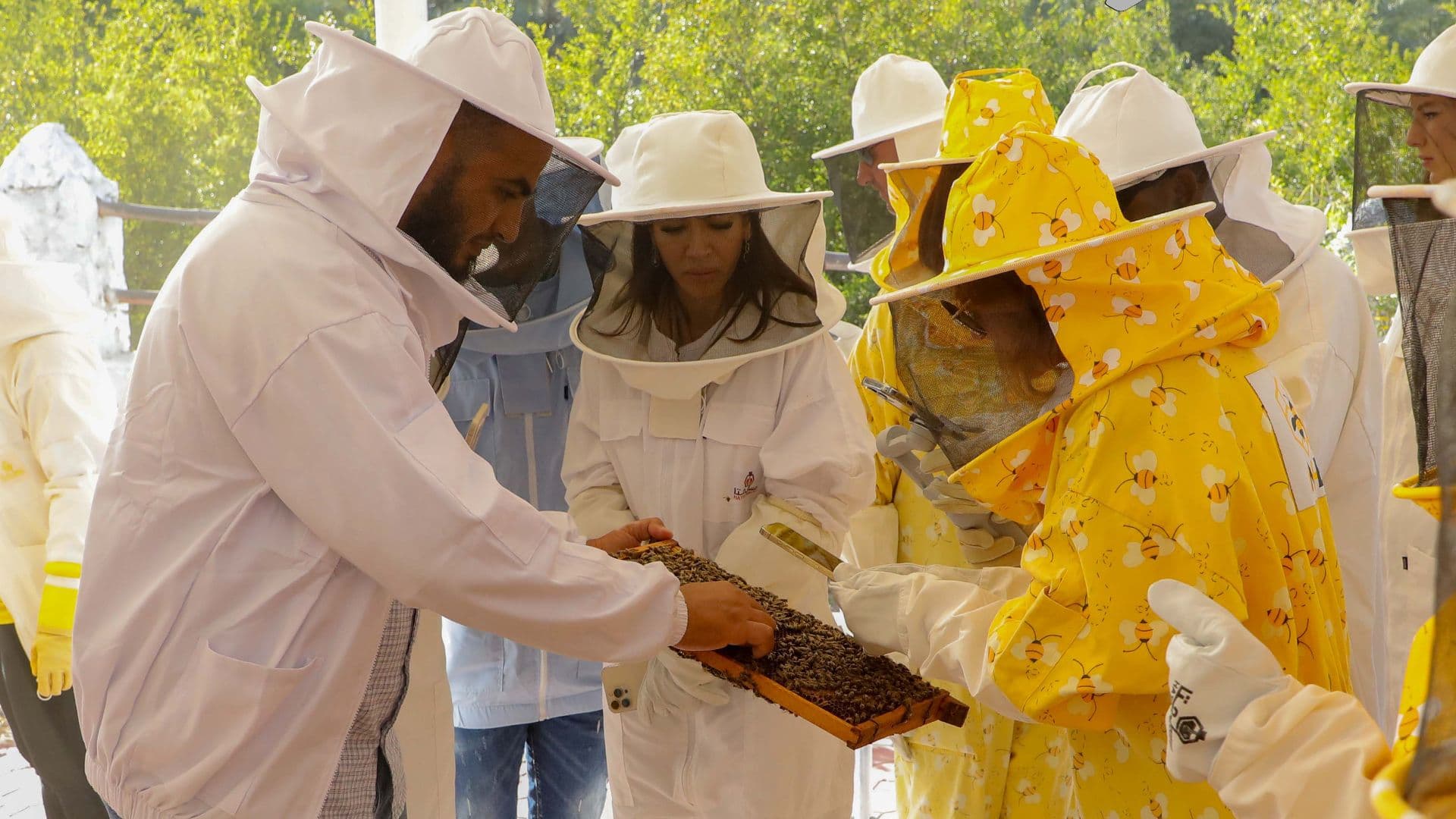 Visite découverte du Hatta Honey Bee Garden