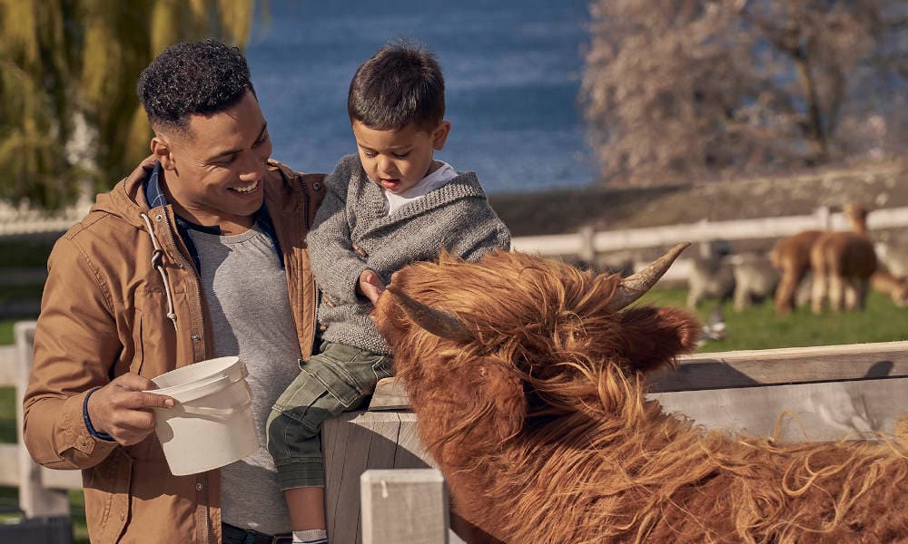 TSS Earnslaw Cruise and Walter Peak Farm Tour