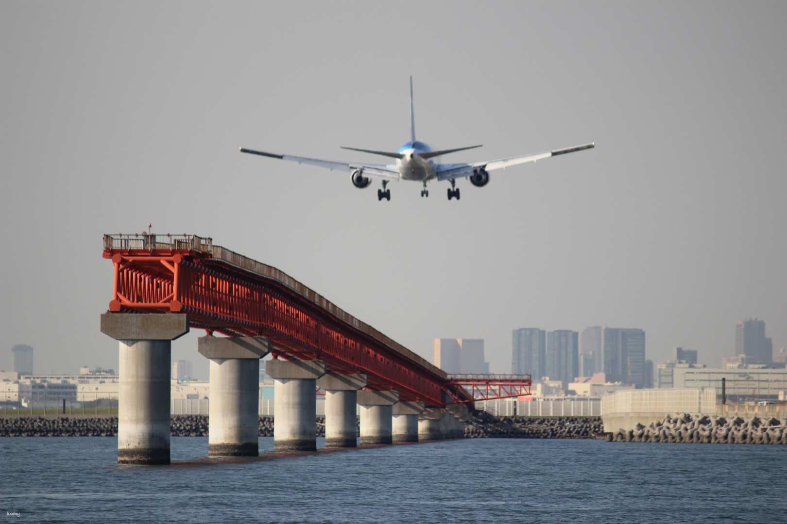 Sea Bass Haneda Cruise Departing from Yokohama Sta. East Exit | Instant Confirmation