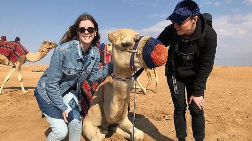 Private Morning Safari Dune Bashing, Camel Ride, Falcon sandboard Day Tours