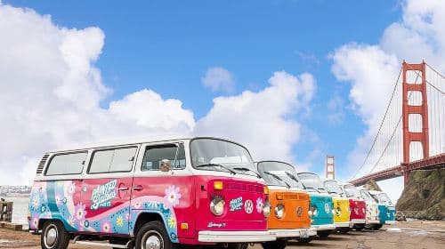 Painted Ladies San Francisco City Tour Day Tours