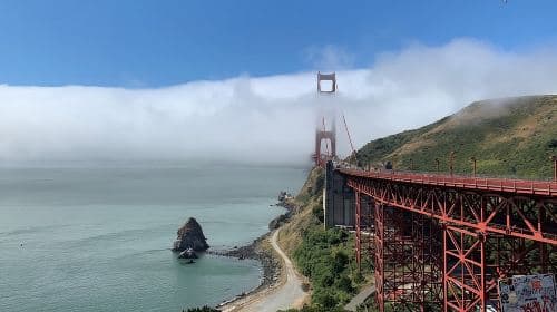 Amazing Muir Woods and Sausalito Tour Day Tours