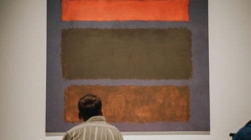 NYC: Express Highlights Tour van het MET Museum Dagtochten