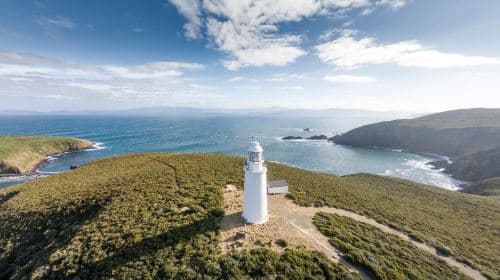 Discover Bruny Island in Tasmania, Australia [Includes city transfers/Tasmania's must-visit spots] Day Tours