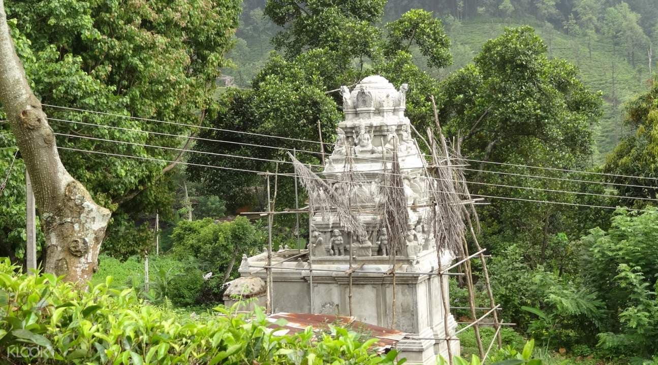 Knuckles Day Tour from Kandy