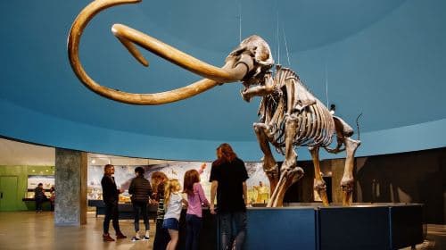 La Brea Tar Pits Museum