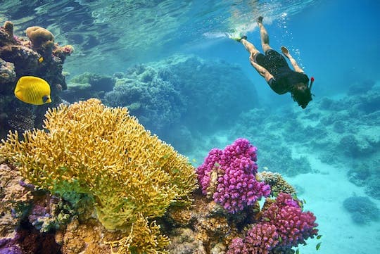 Tiran Island Snorkeling Cruise with BBQ from Sharm El Sheikh