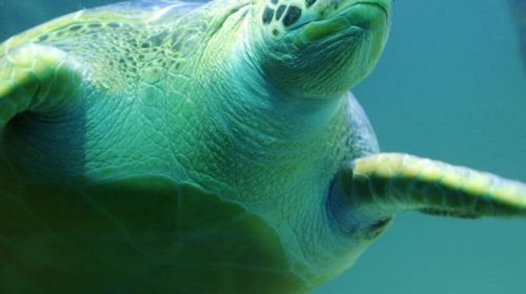 SEA LIFE Paris Aquarium