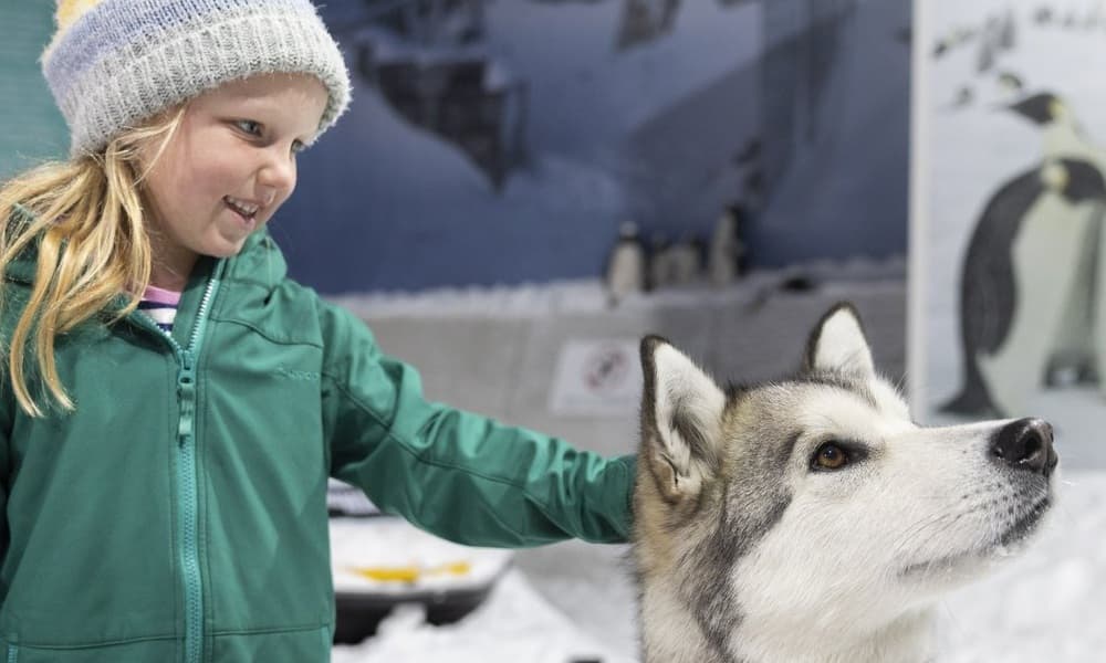 International Antarctic Centre General Admission