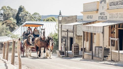 Werribee Mansion, Sovereign Hill & Ballarat: Tour guidato in cinese