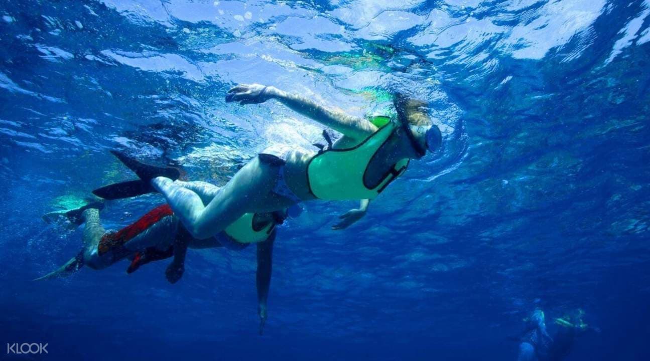 Pigeon Island National Park Snorkeling Experience from Trincomalee