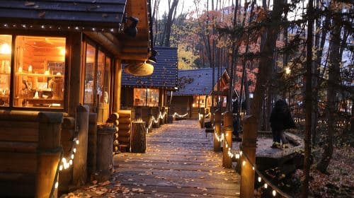 [Prywatny samochód] Wycieczka jednodniowa: Asahiyama Zoo, Blue Pond, Shirahige Falls, Ningle Terrace (z Sapporo)
