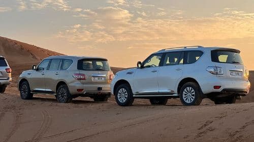 Dubai Desert Safari, Camel Ride, Shisha, Henna, Live BBQ & Shows Day Tours