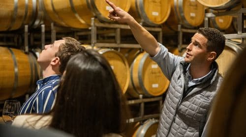 Saindo de San Francisco: O Tour Definitivo de Vinhos em Napa e Sonoma