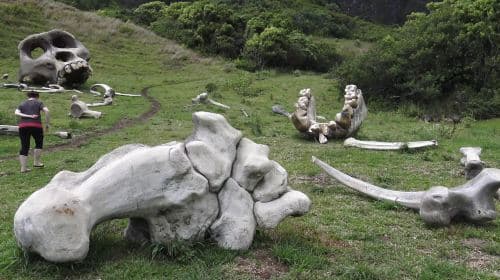 Kualoa Ranch