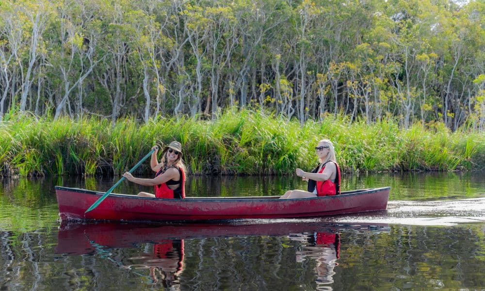 Noosa Everglades Explorer Cruise - 5 uur