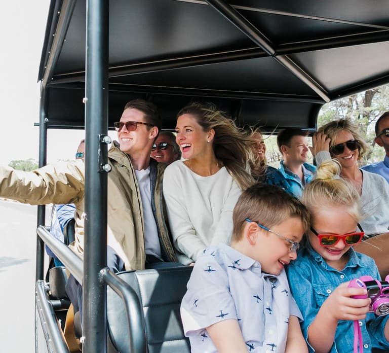 Grand Canyon Village: Helicopter Tour & Hummer Tour Options