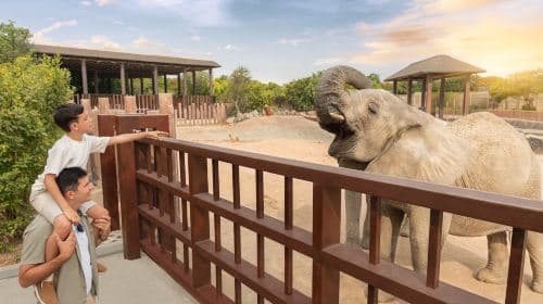 Dubai city tour with Gold & Spice Souk & Dubai Safari Park tour with Transfers Day Tours
