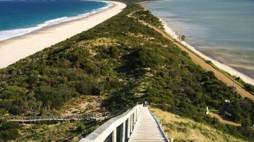 New Year Booking Available: Hobart Bruny Island Day Tour in Tasmania, Australia Day Tours
