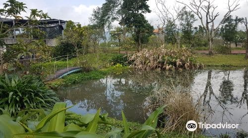 Sheng Yang Leisure Farm