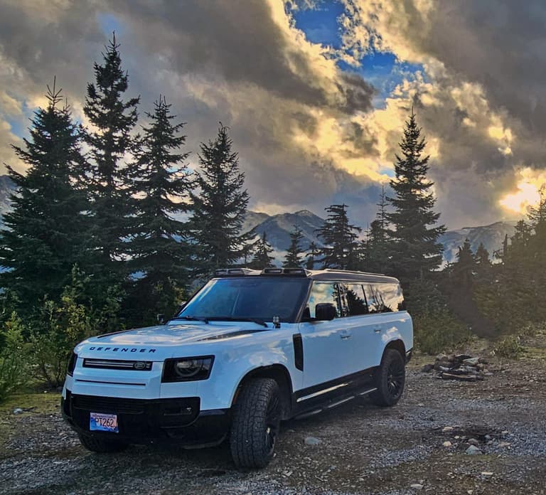 Whistler: Afternoon/Evening Bear Viewing Scenic Tour