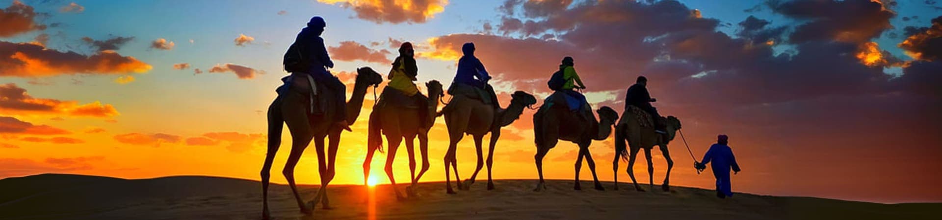 Camel Riding