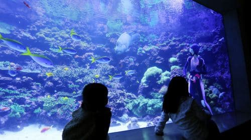 Oita Marine Palace Aquarium "Umitamago"