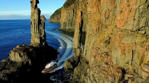 3-Hour Bruny Island Cruise from Adventure Bay, Bruny Island Day Tours