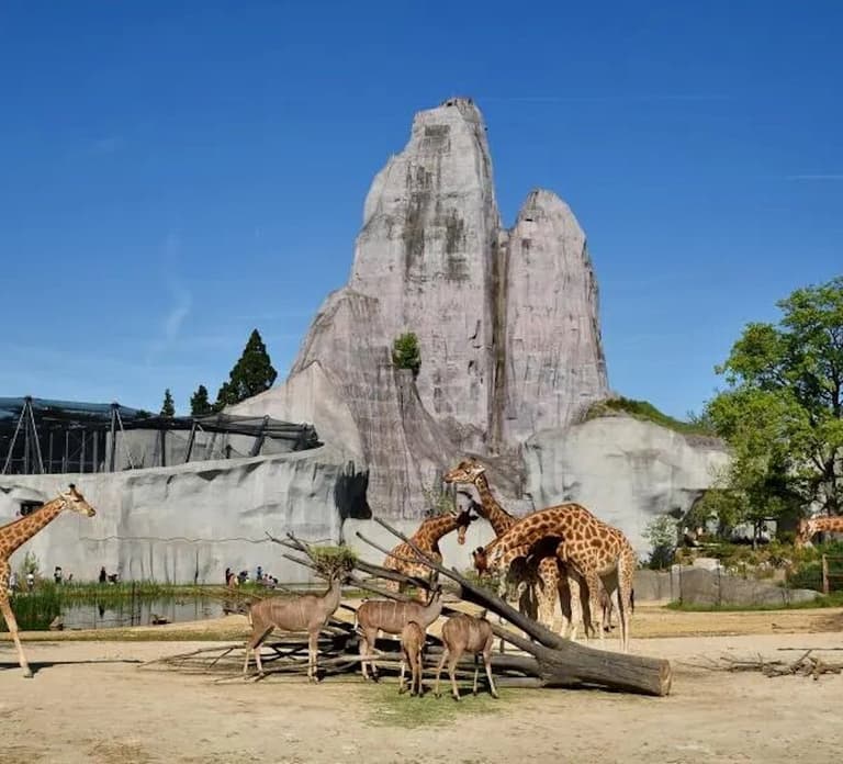Paris: Paris Zoological Park Entrance Ticket