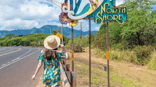 Tour dell'Isola di Hawaii - Escursioni Giornaliere