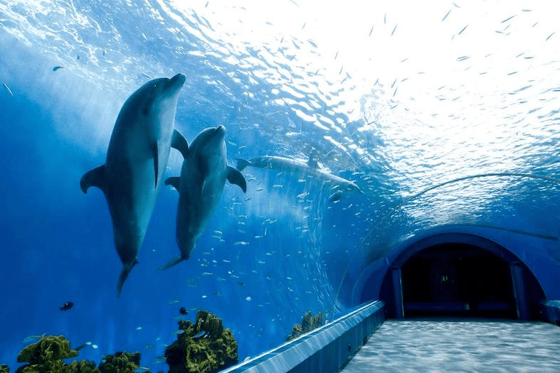 Hengbin Hakkeijima Aquarium