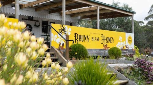 New Year Booking Available: Hobart Bruny Island Day Tour in Tasmania, Australia Day Tours