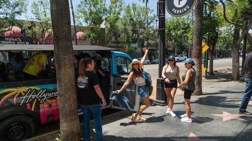 Hollywood, Beverly Hills & Celebrity Homes Tour by Open Air Bus  Day Tours