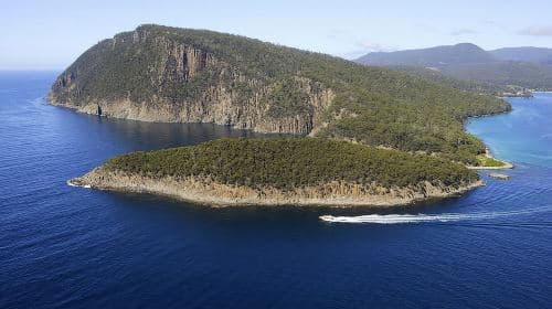 3-Hour Bruny Island Cruise from Adventure Bay, Bruny Island Day Tours