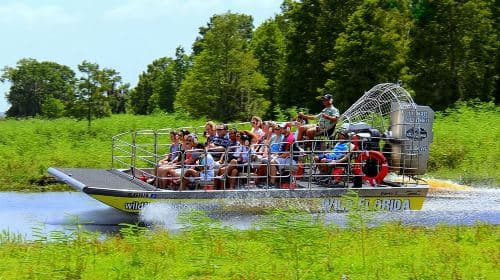 Florida Everglades Airboat Tour and Wild Florida Admission with Optional Lunch Day Tours