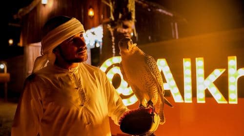 Expérience de camp dans le désert de Dubaï, excursion d'une journée (Safari au crépuscule, balade à dos de chameau, barbecue au camp, observation des étoiles la nuit) Excursions d'une journée