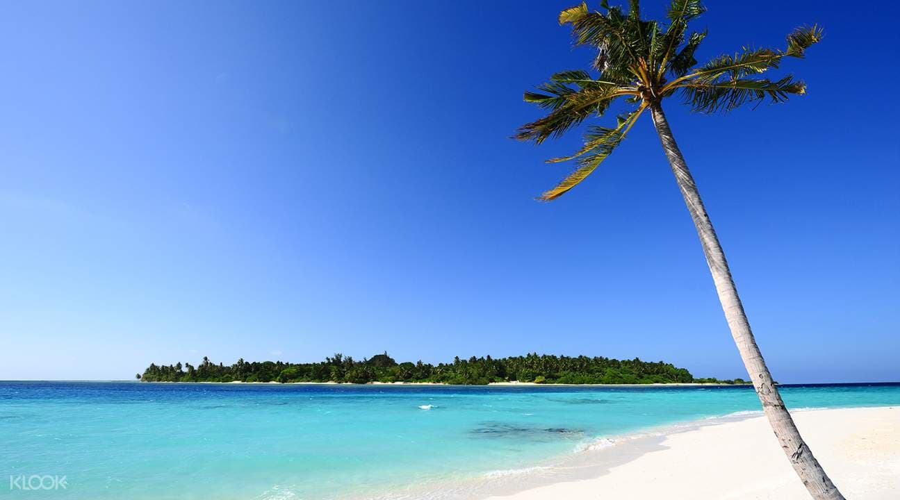 Private Trincomalee Half Day City Tour