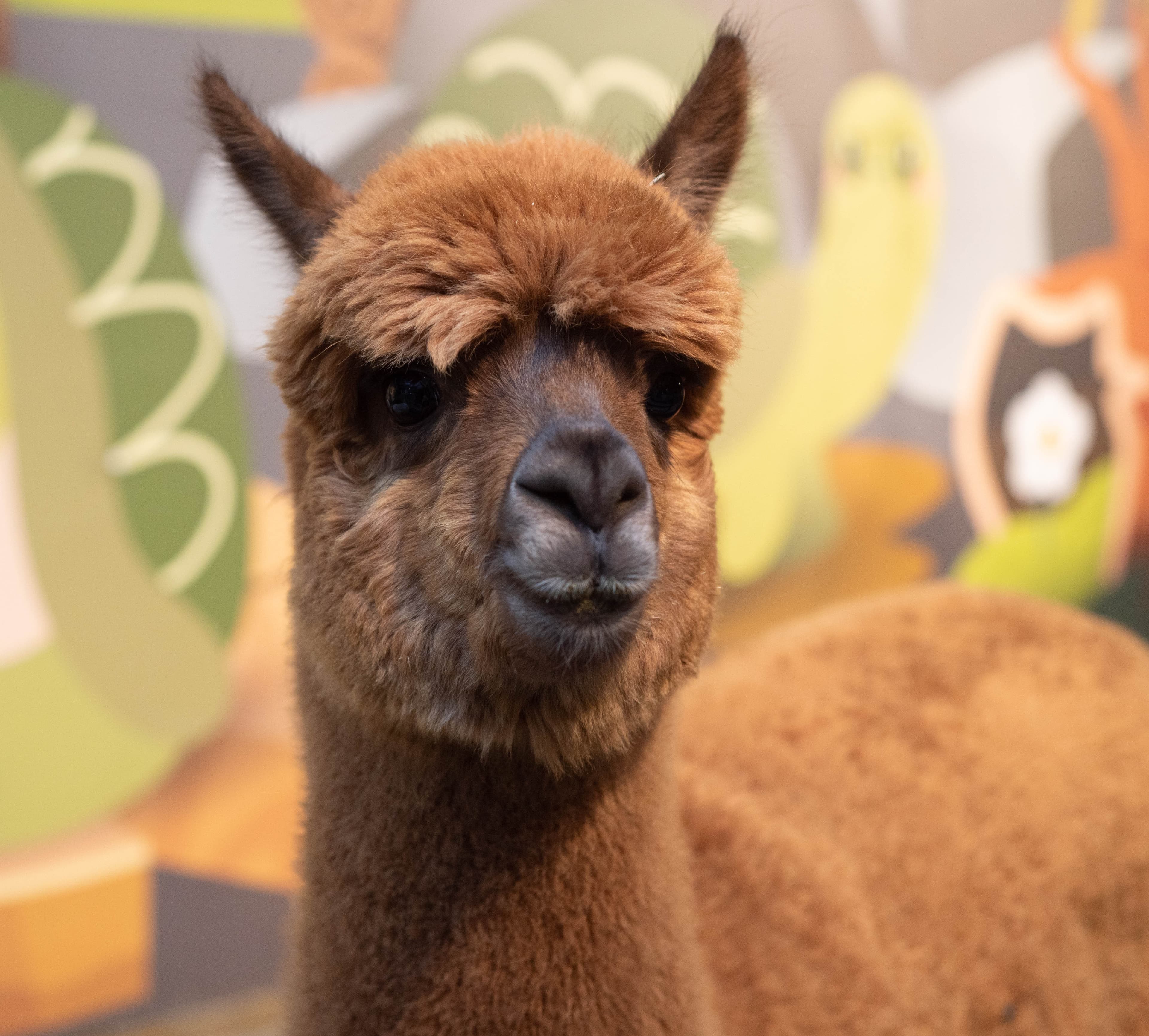 Bilet do Just Farm by Just Pets Megastore (największe kryte zoo w Malezji)
