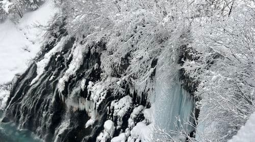 Letnia przygoda na Hokkaido z Sapporo: wycieczka do Asahiyama Zoo, Blue Pond i Shirahige Falls