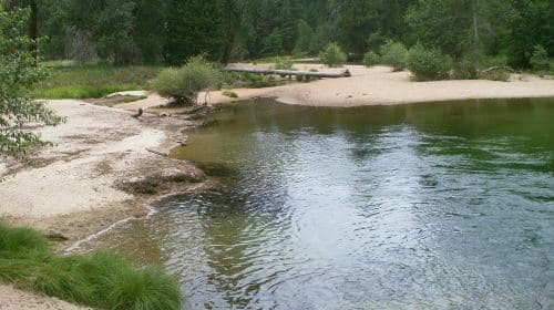 Yosemite National Park full-day tour from San Francisco