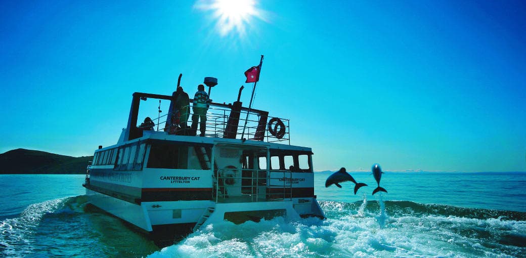 Akaroa Harbour Nature Cruise