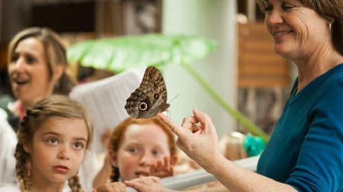 California Academy of Sciences