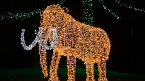 Z Toronto: Wycieczka na Winter Festival of Lights w Niagara Falls